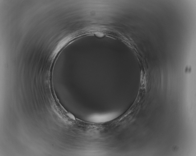 X0000111440099200907131315
