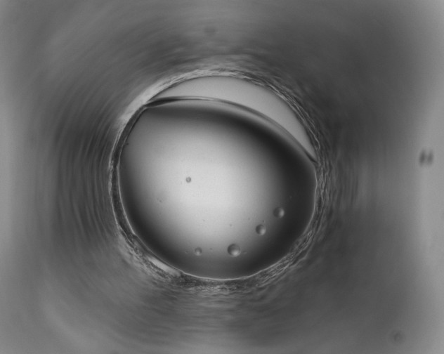 X0000111440100200907131315
