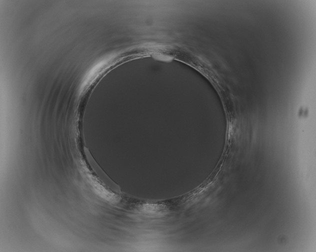 X0000111440101200907131315