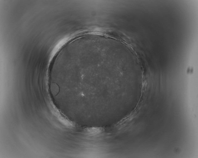 X0000111440102200907131315