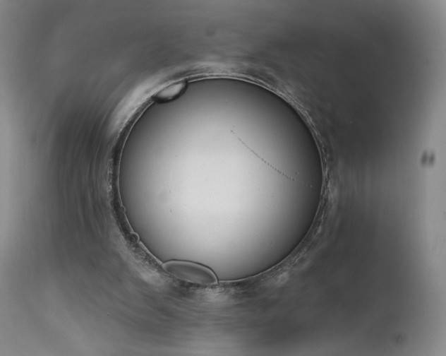 X0000111440103200907131315