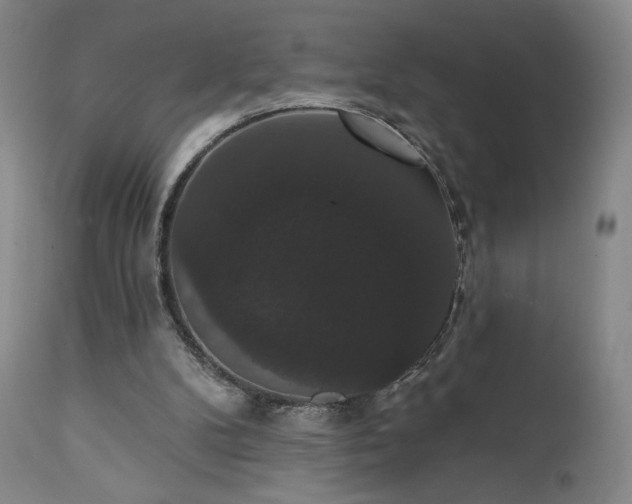 X0000111440104200907131315