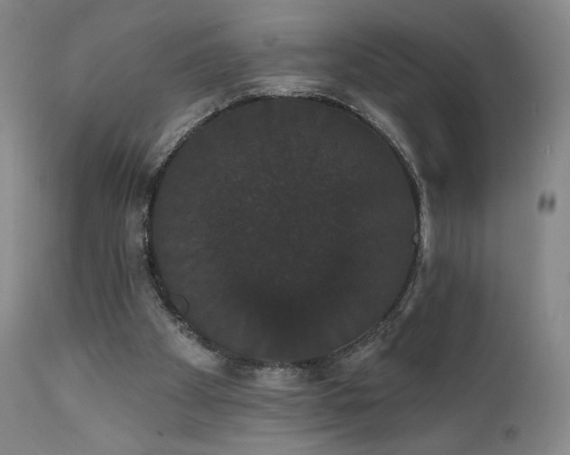 X0000111440105200907131315