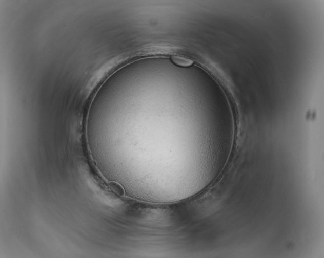 X0000111440107200907131315