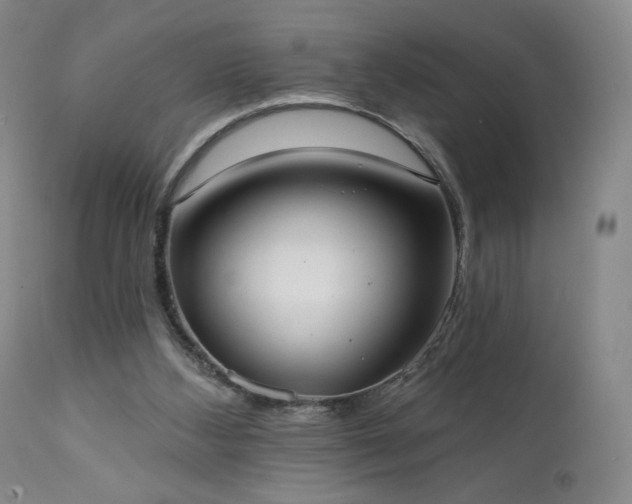 X0000111440108200907131315