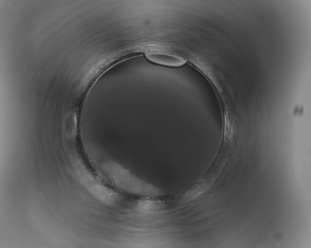X0000111440109200907131315