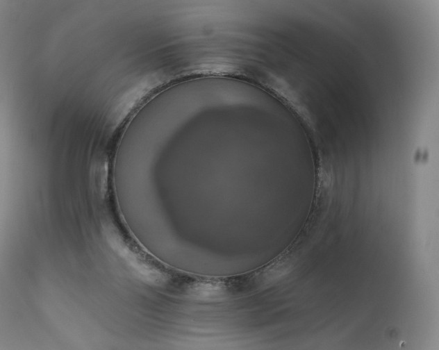 X0000111440110200907131315