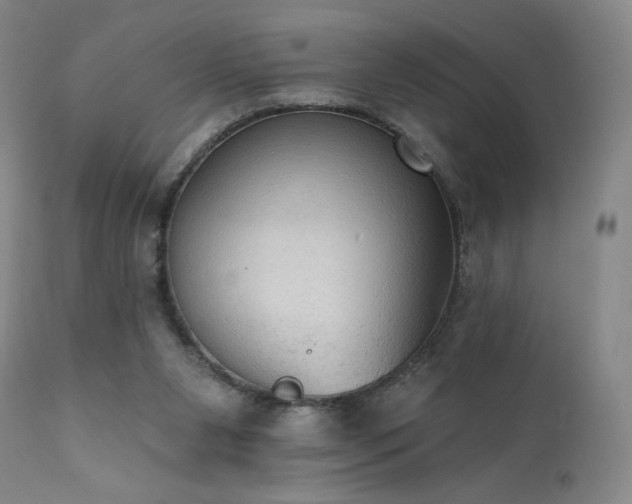 X0000111440111200907131315