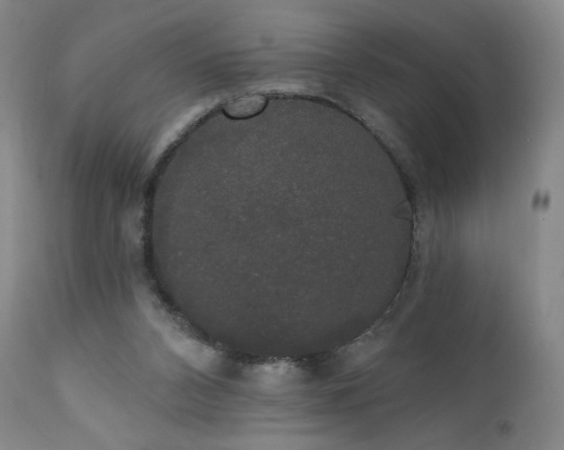 X0000111440112200907131315