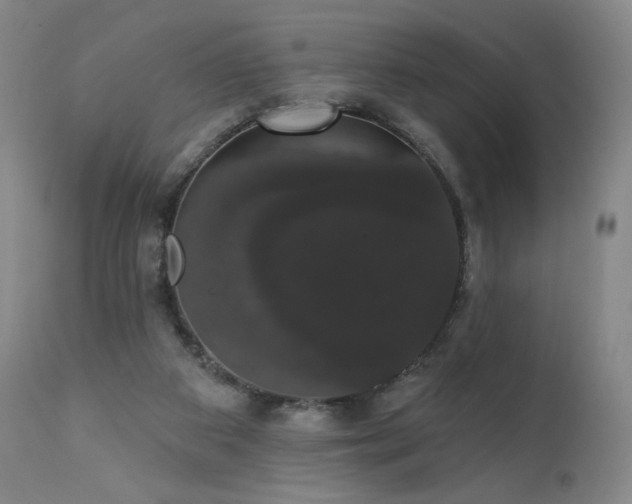 X0000111440113200907131315