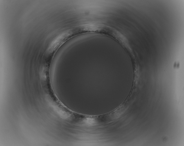 X0000111440114200907131315