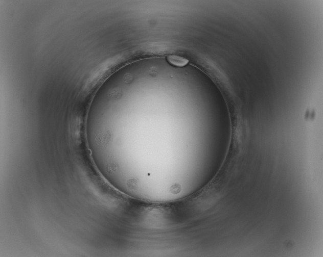 X0000111440115200907131315