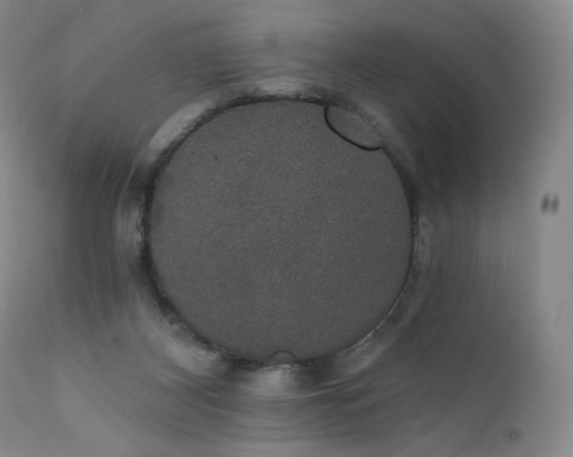 X0000111440116200907131315