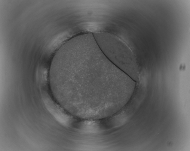 X0000111440117200907131315
