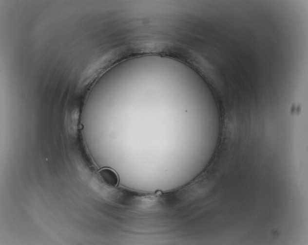 X0000111440118200907131315