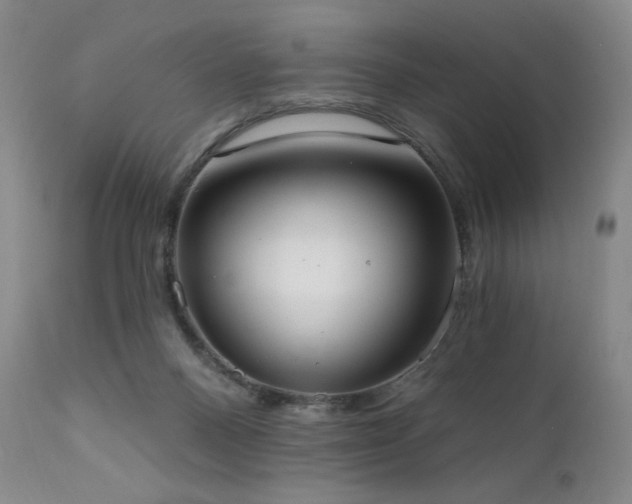 X0000111440120200907131315