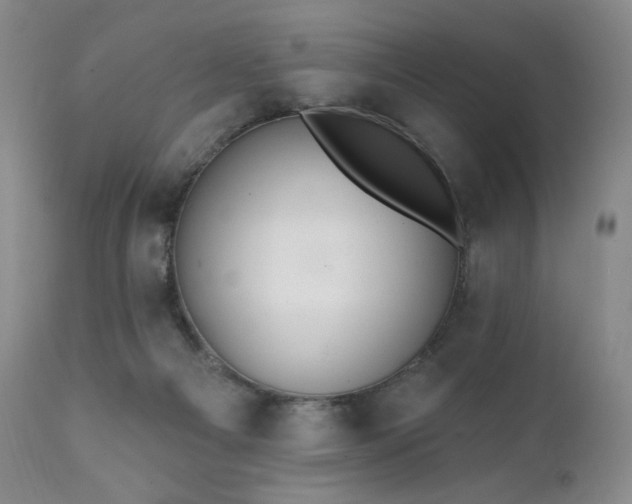 X0000111440121200907131315