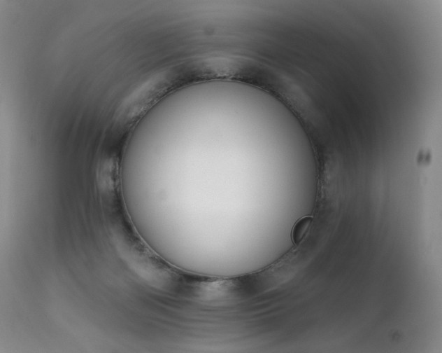 X0000111440122200907131315