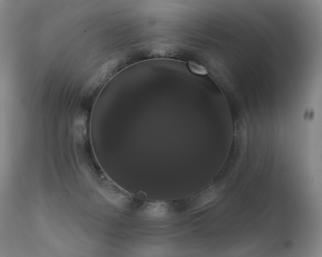 X0000111440127200907131314