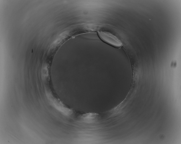 X0000111440128200907131314