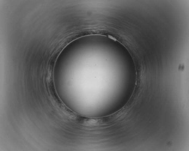 X0000111440129200907131314