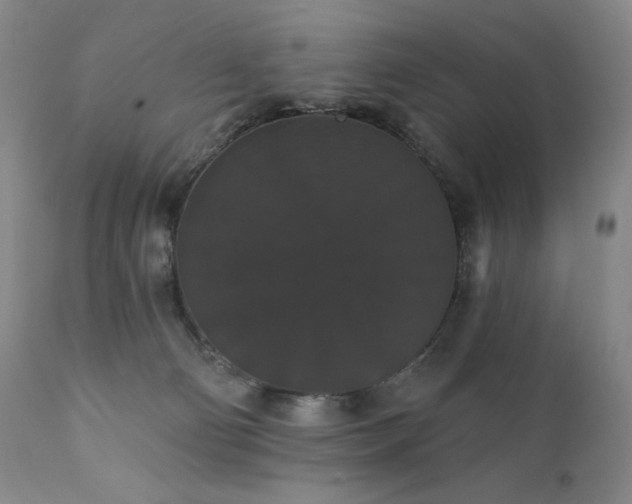 X0000111440130200907131314