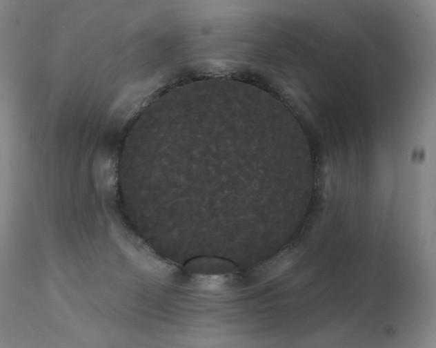 X0000111440131200907131314