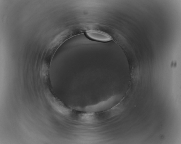 X0000111440132200907131314