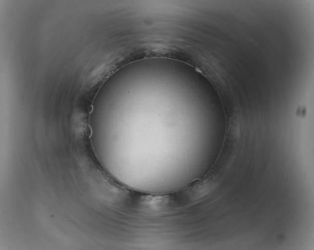 X0000111440135200907131314