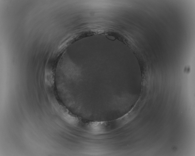 X0000111440136200907131314