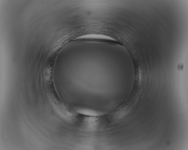X0000111440139200907131314