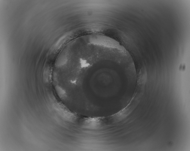X0000111440140200907131314
