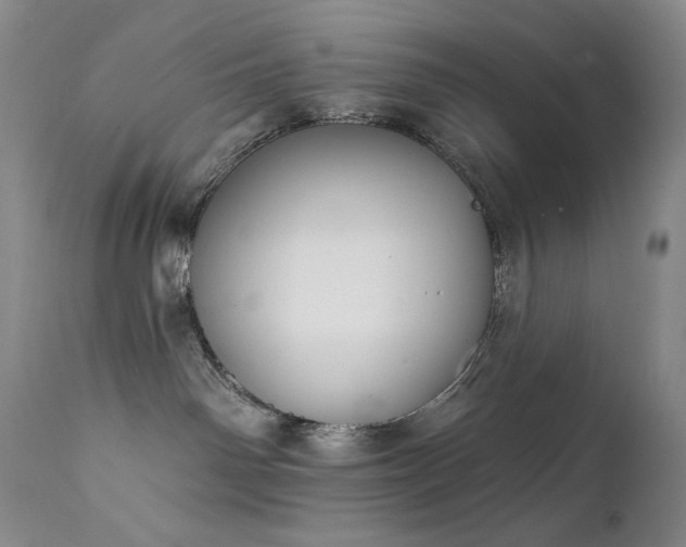 X0000111440142200907131314