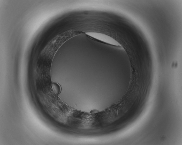X0000111440143200907131314
