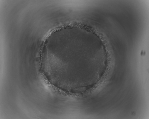 X0000111440144200907131314