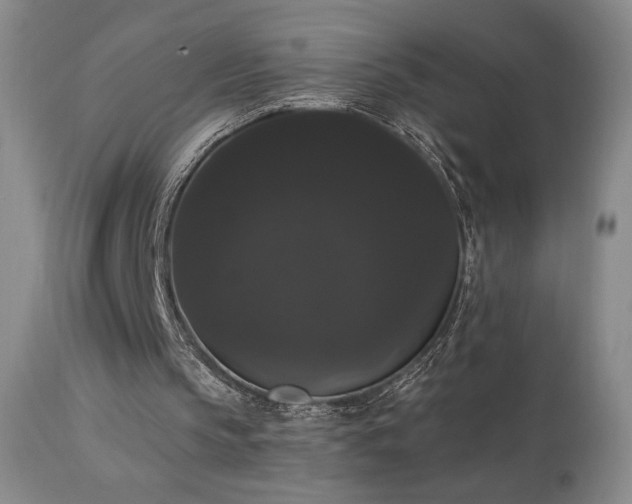 X0000111440145200907131314