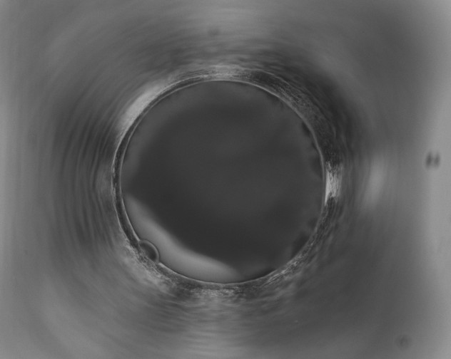 X0000111440147200907131314