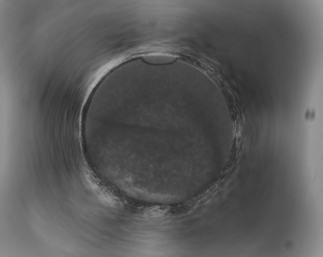 X0000111440148200907131314