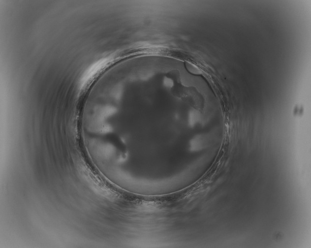 X0000111440149200907131314