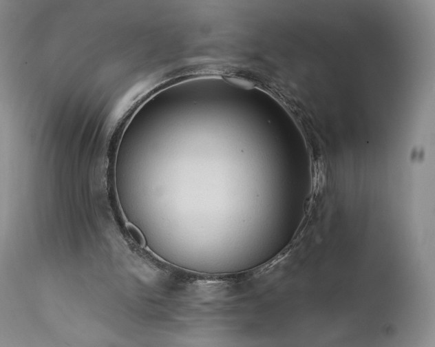 X0000111440150200907131314