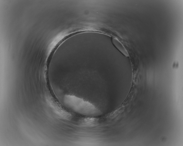 X0000111440152200907131314