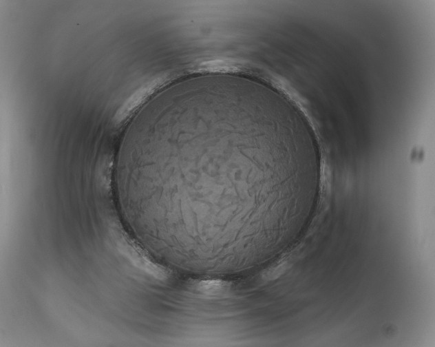 X0000111440153200907131314