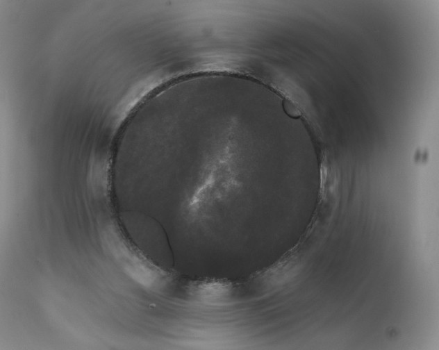 X0000111440156200907131314