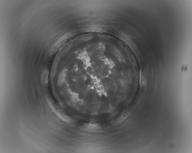 X0000111440157200907131314
