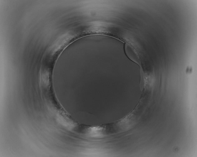 X0000111440158200907131314