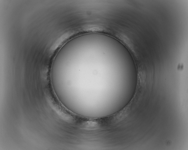 X0000111440159200907131314