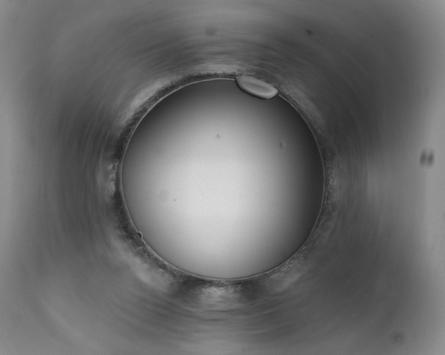 X0000111440160200907131314