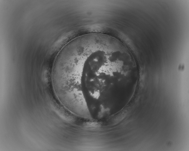 X0000111440161200907131314