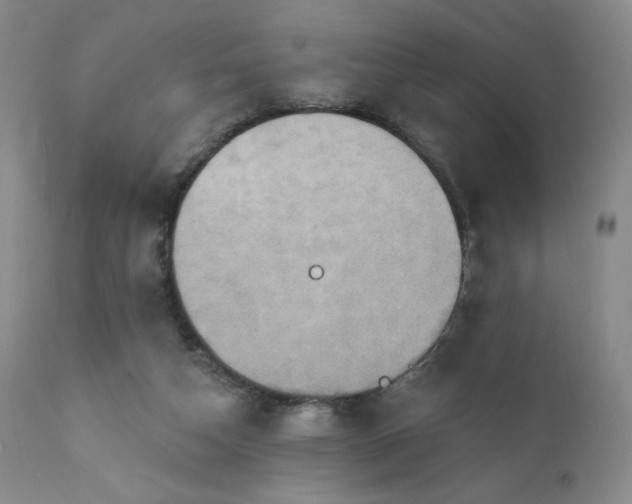 X0000111440162200907131314
