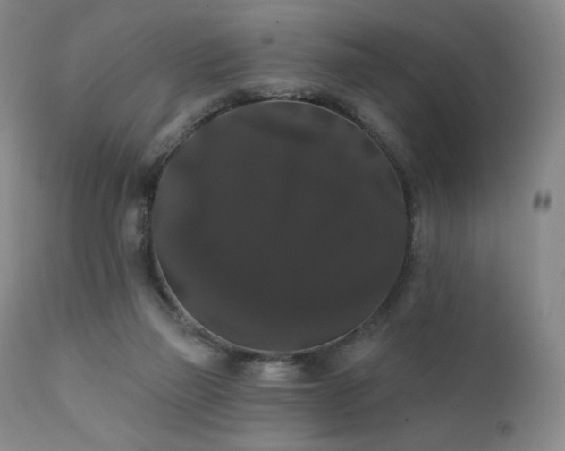 X0000111440165200907131314